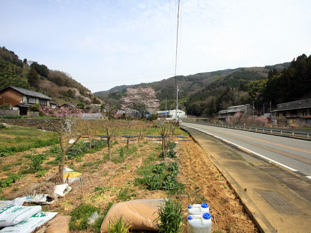 伊予市中山町中山丑233-1、外11筆
