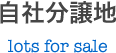 自社分譲地 lots for sale